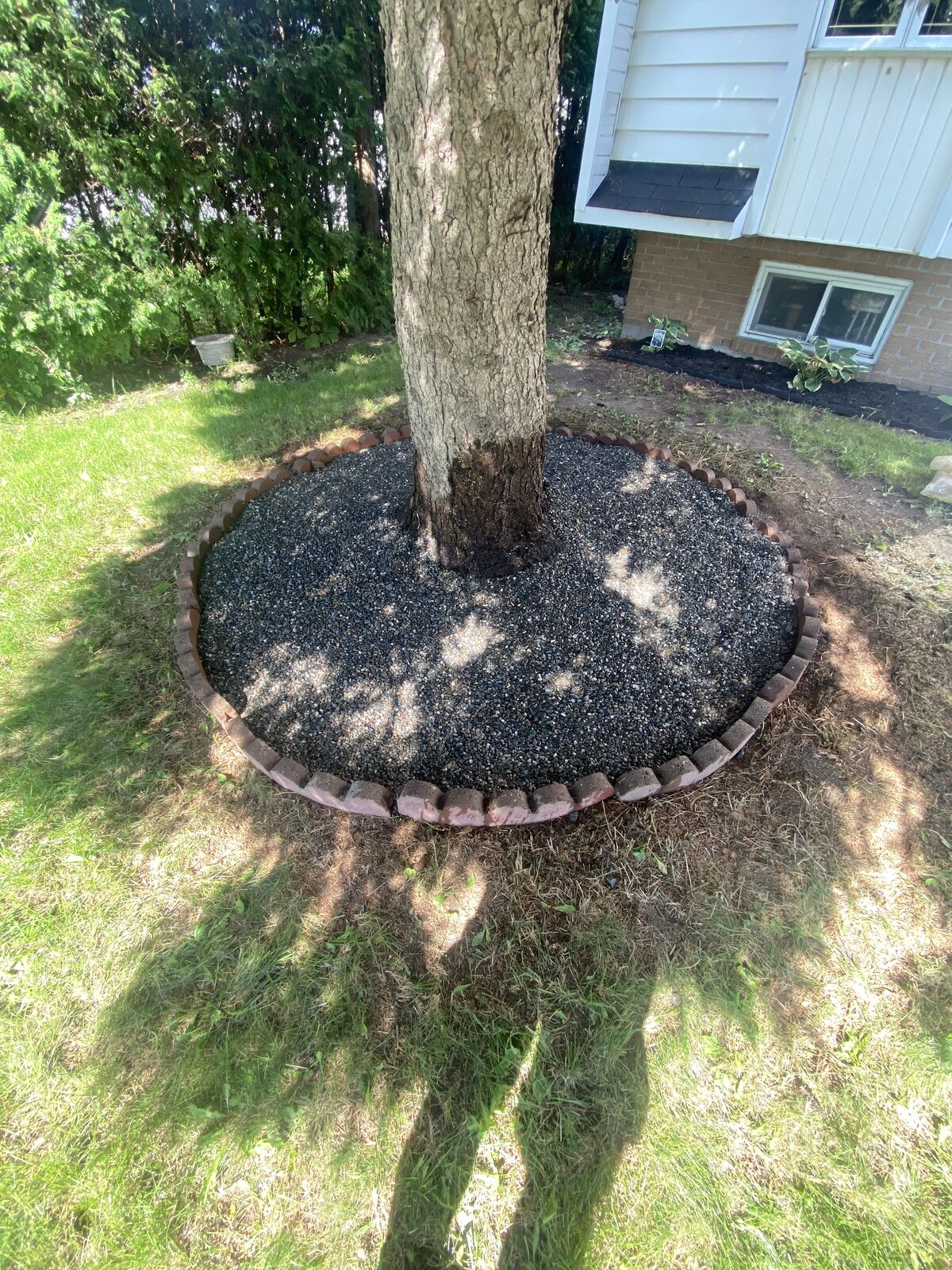 Contour d'arbre — Maintenance Adjoka