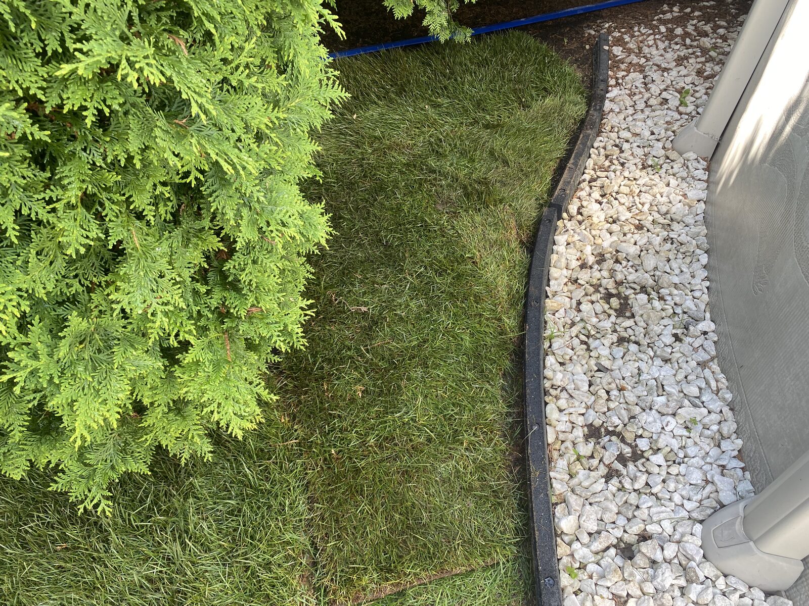 Pose de tourbe — Maintenance Adjoka